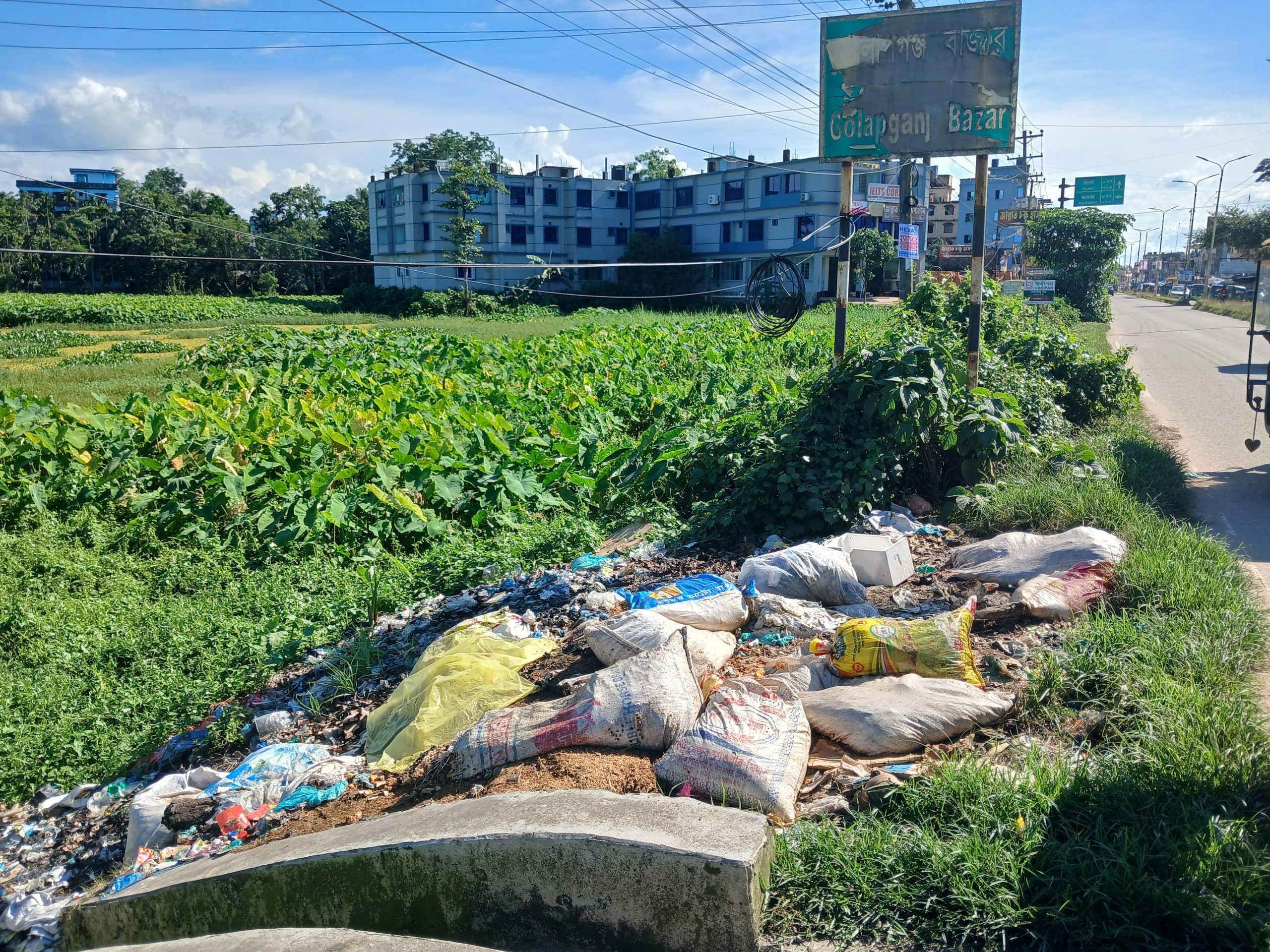 গোলাপগঞ্জ পৌরসভার নাকের ডগায় ময়লার ভাগাড়,দুর্গন্ধে অতিষ্ঠ পথচারী—ঘুম ভাঙবে কবে?